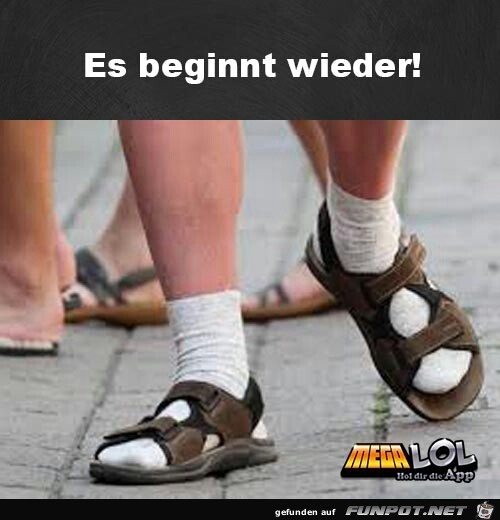 Es wird Sommer Es wird Sommer