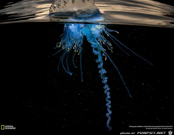 Wunderschoene Aufnahmen 7 Wunderschoene Aufnahmen 7