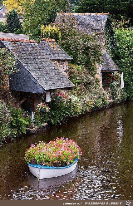 ein Boot mit Blumen