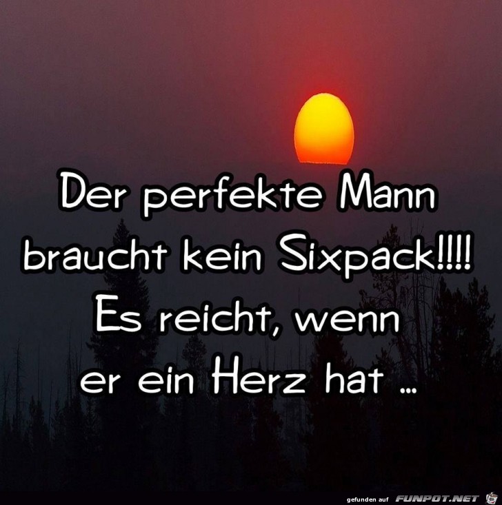 Der perfekte Mann