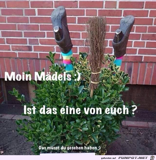 Morgen Morgen