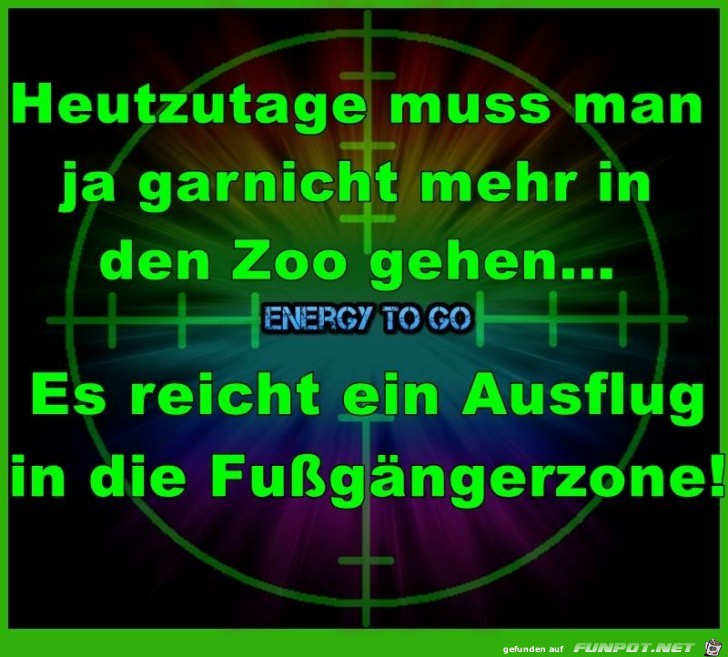 Zoo Zoo