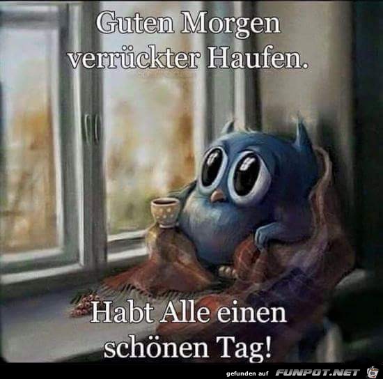 Guten Morgen 