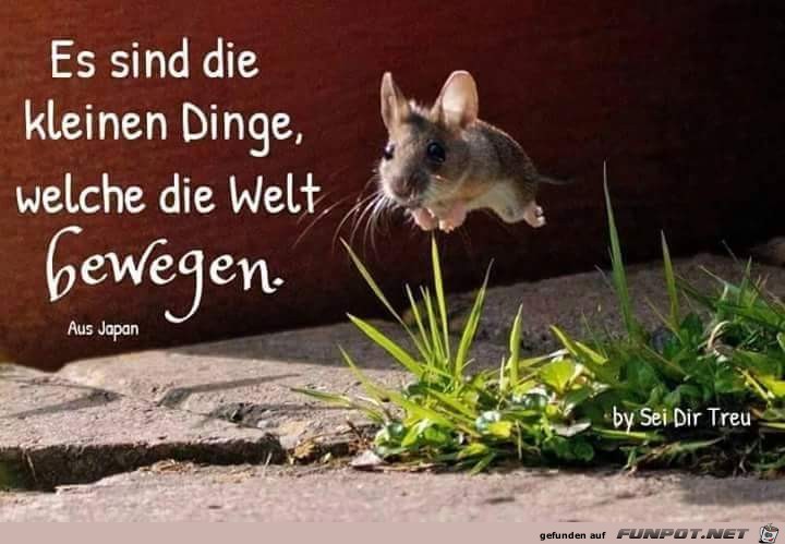 Es sind die kleinen Dinge Es sind die kleinen Dinge