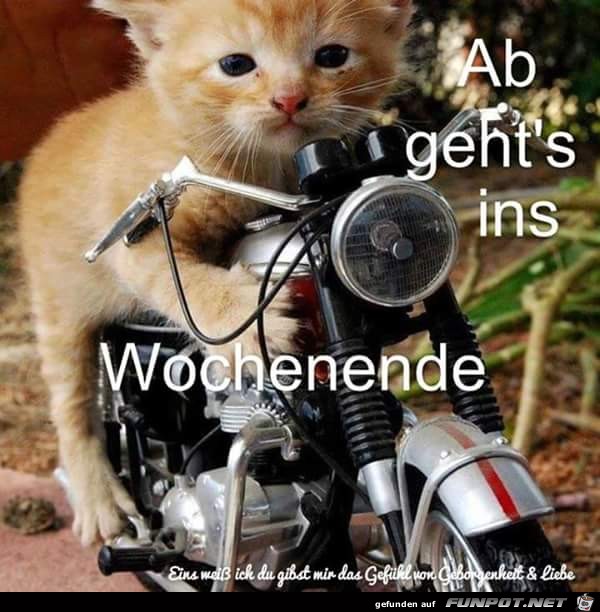 Ab gehts Ab gehts