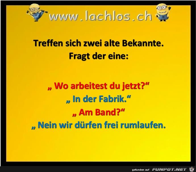 frei rumlaufen frei rumlaufen