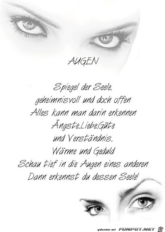  augen