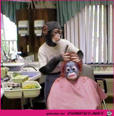 Hairdresser