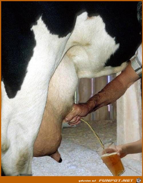 Bier Bier