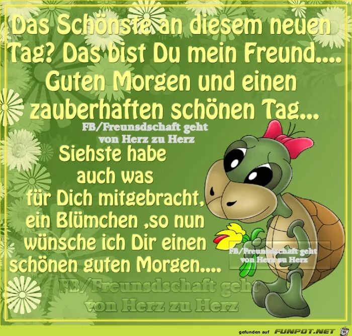 Das schoenste an diesen neuen Tag Das schoenste an diesen neuen Tag