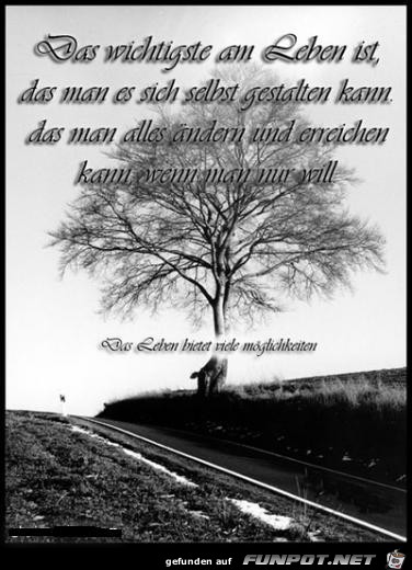 das wichtigste am Leben ist das wichtigste am Leben ist