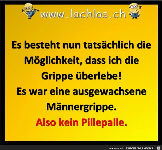 Grippe ueberleben Grippe ueberleben