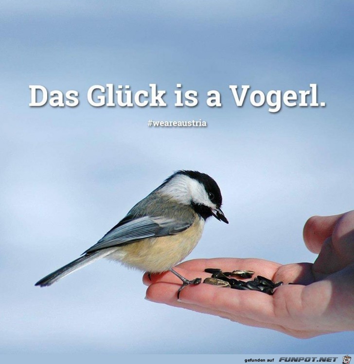 Das Glueck