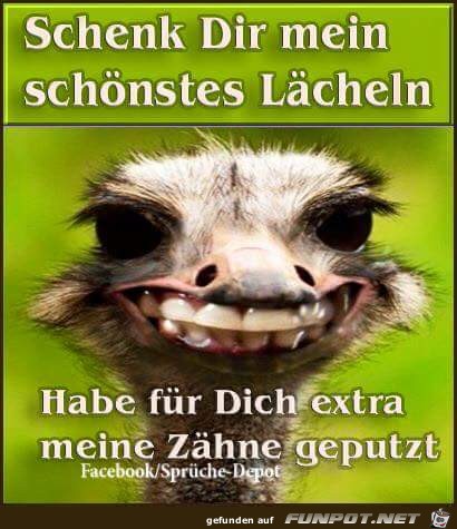 Schoenstes Laecheln