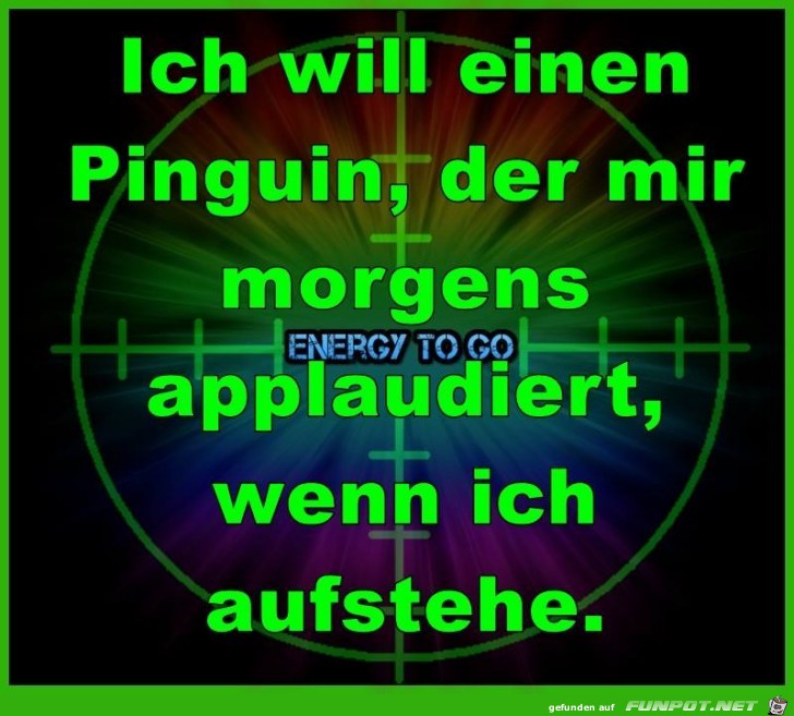 Morgens Morgens