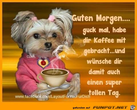 Guten Morgen Guten Morgen