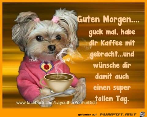 Guten Morgen