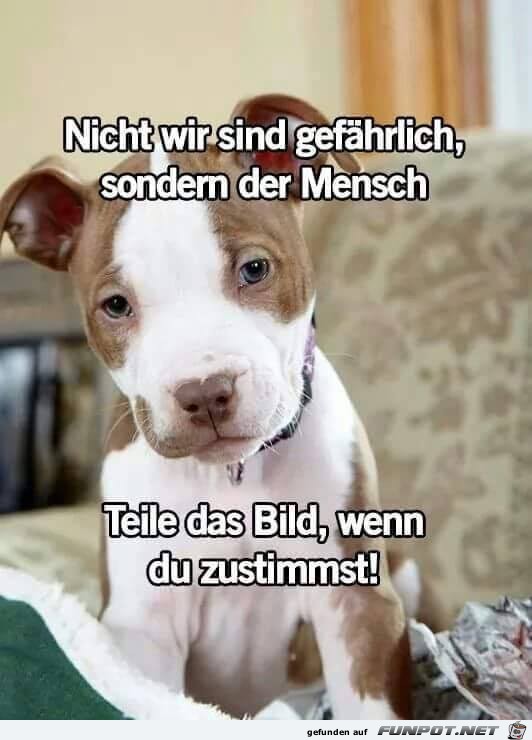 Nicht wir sind gefaehrlich Nicht wir sind gefaehrlich