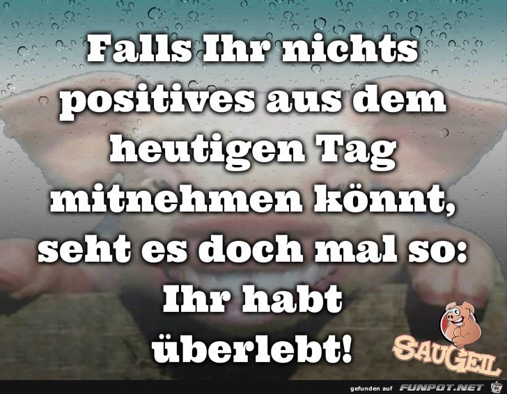 Falls ihr nichts Falls ihr nichts