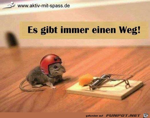 Es gibt immer einen Weg Es gibt immer einen Weg