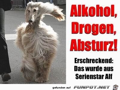 Alkohol-- Drogen -- Absturz--