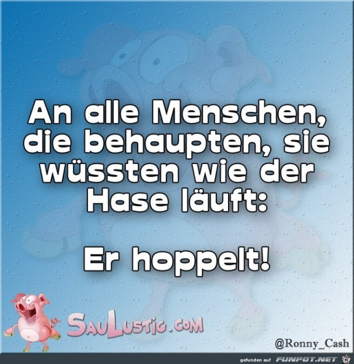 Hase Hase