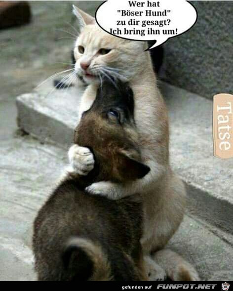 Wer hat Wer hat