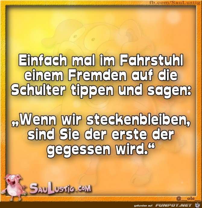 Einfach-mal-im-Fahrstuhl