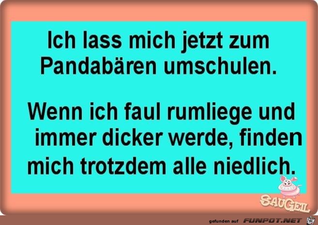 Zum Pandabaeren umschulen