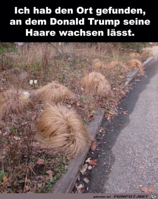 Hab den Ort gefunden Hab den Ort gefunden