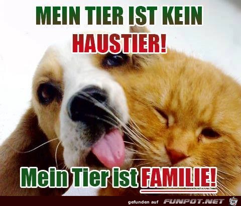Mein Tier Mein Tier