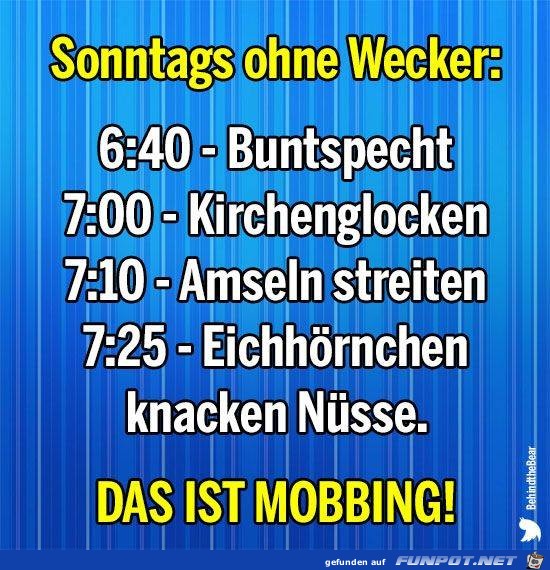 Sonntags ohne Wecker Sonntags ohne Wecker