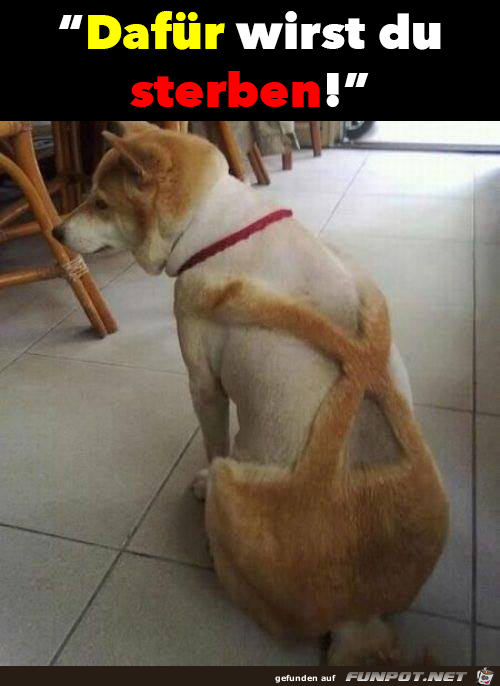 Dafür Dafür