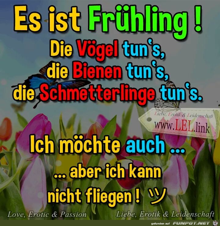 es ist Fruehling es ist Fruehling