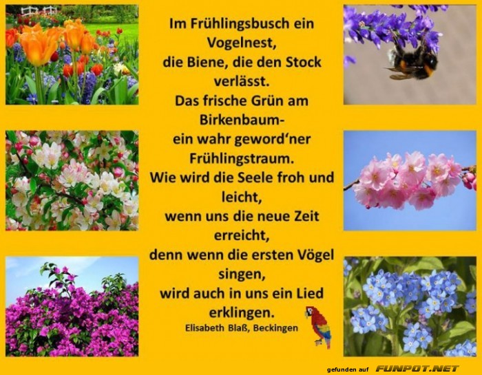 Fruehlingstraum Fruehlingstraum