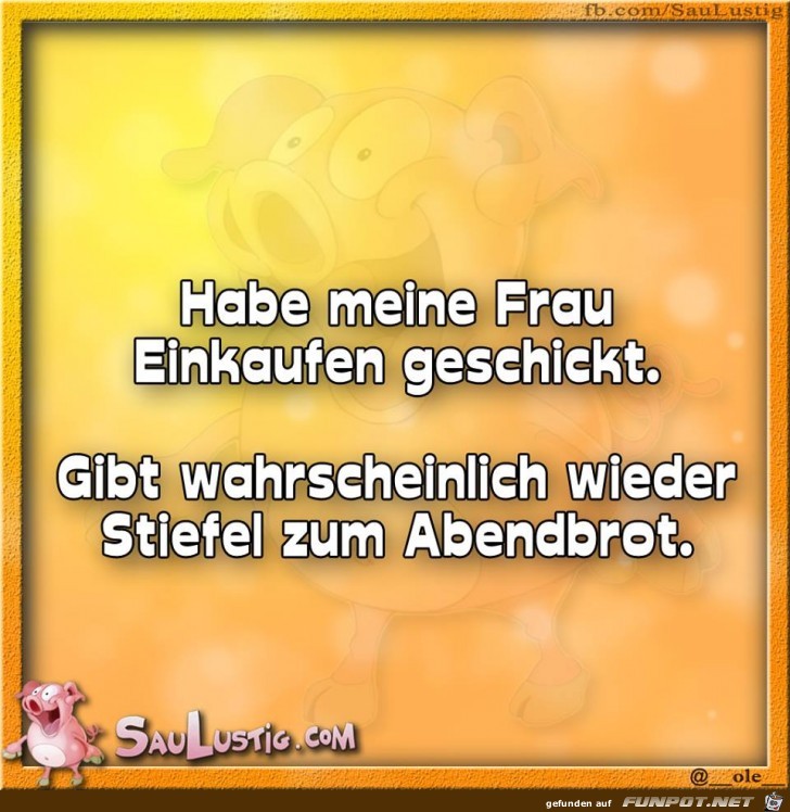 stiefel stiefel