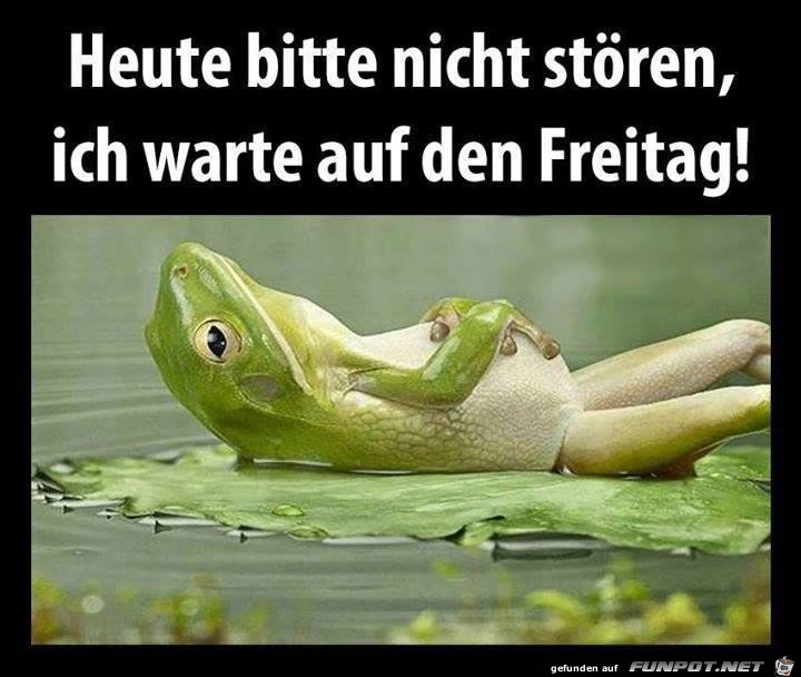 heute-bitte-nicht-stoeren-ich-warte-auf-freitag heute-bitte-nicht-stoeren-ich-warte-auf-freitag