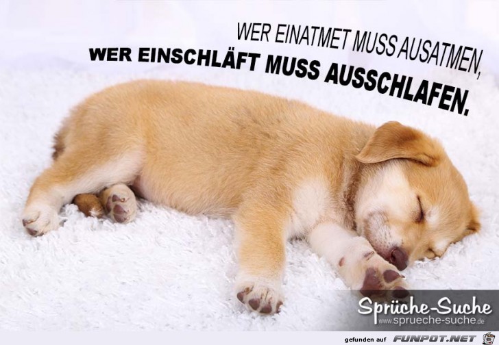 ausschlafen ausschlafen