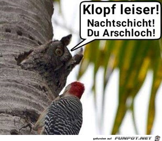 Leiser klopfen Leiser klopfen