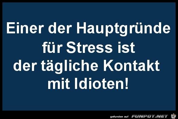 Hauptgründe für Streß Hauptgründe für Streß