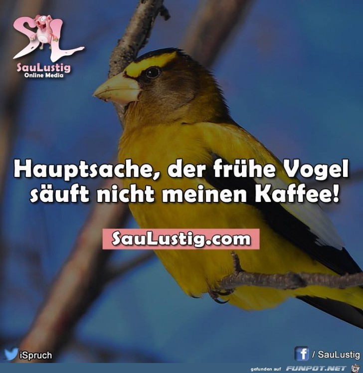 kaffee kaffee