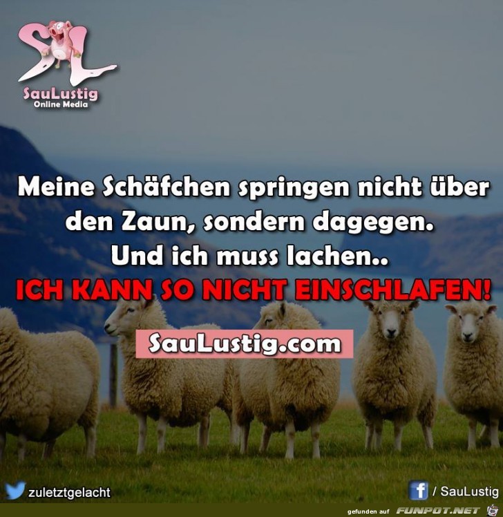 schafe schafe