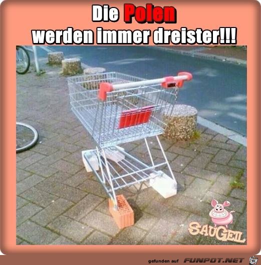 Werden immer dreister Werden immer dreister