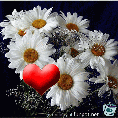 Love Love