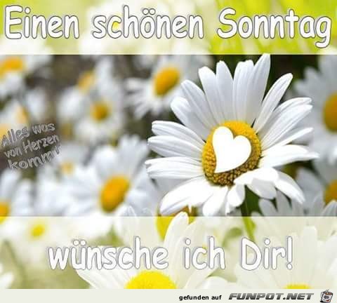 Einen schoenen Sonntag Einen schoenen Sonntag