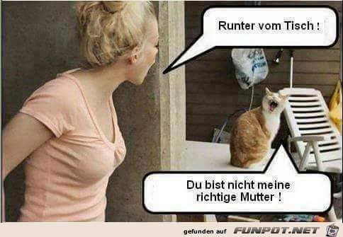 Runter vom Tisch