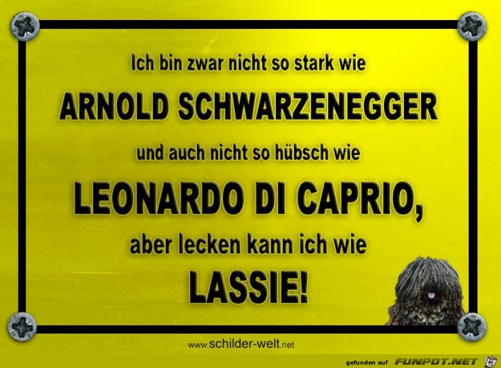 ich bin zwar nicht so stark wie ich bin zwar nicht so stark wie