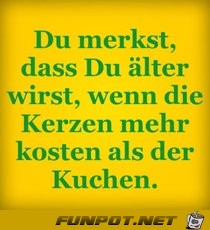 du merkst wenn du aelter wirst du merkst wenn du aelter wirst