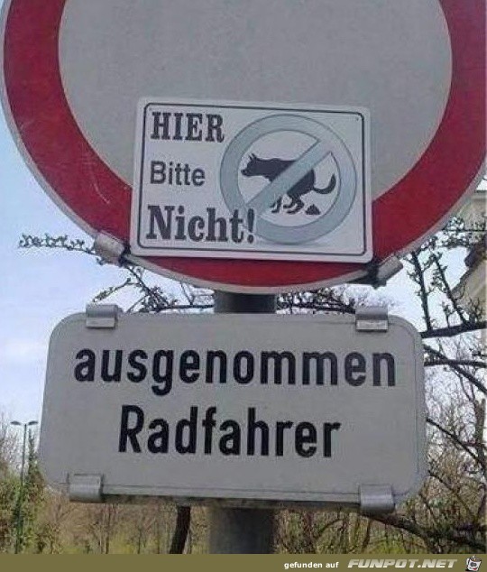 Radfahrer Radfahrer
