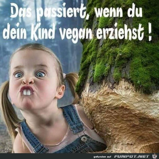 Vegan Vegan